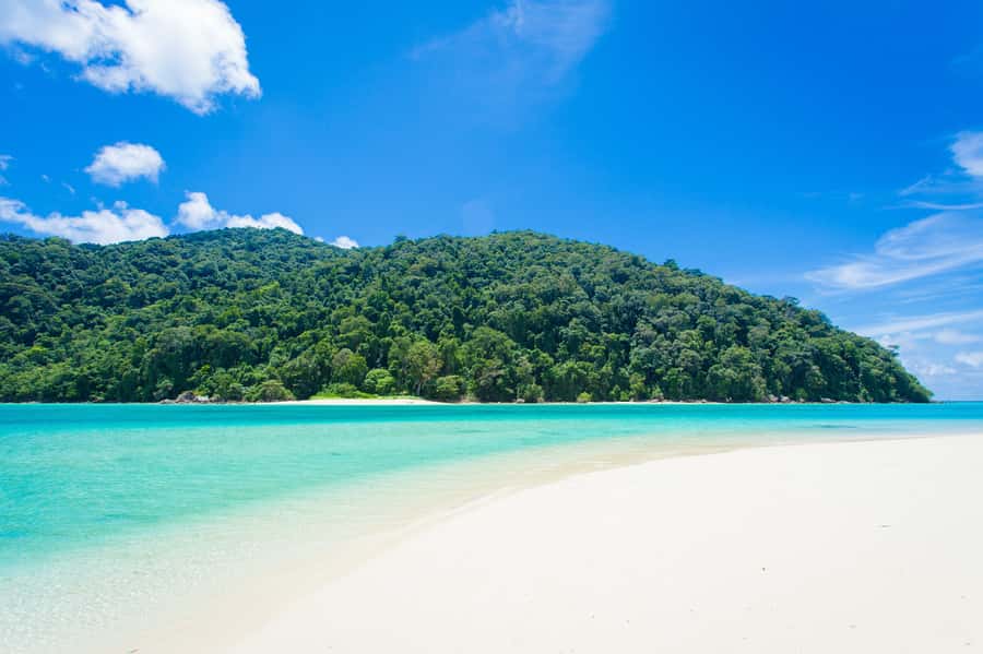 From Khao Lak: Full-Day Snorkeling in the Surin Islands - Moken village visit: what it’s like to meet the locals