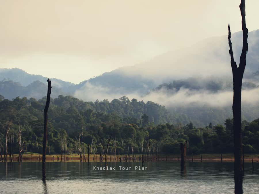 From Khao Lak or Phuket: 2-Day Cheow Lan Lake Tour - Key things I’d plan around