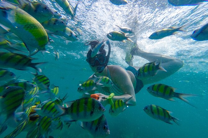 From Khao Lak : Phi Phi Islands Adventure Day Trip with Lunch - Price and Value: What $120.61 Actually Covers