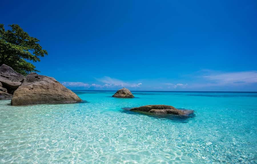 From Khao Lak & Phuket: Similan Islands Snorkeling Day Trip - Island 9 snorkeling: turtles, coral, and the comfort of provided gear