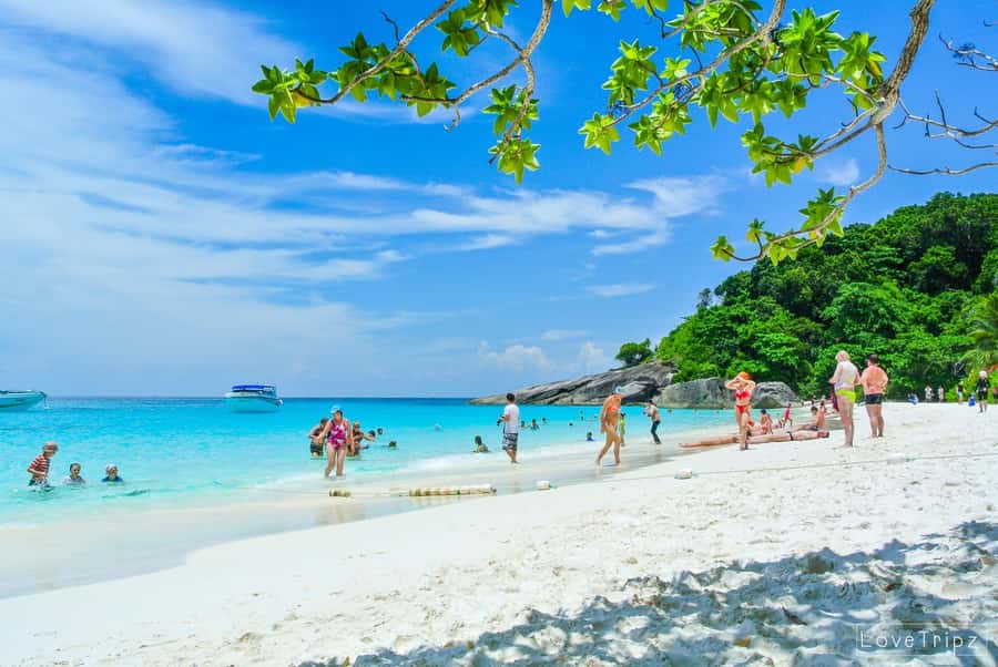 From Khao Lak & Phuket: Trip to Similan Islands by Speedboat - Key points to know before you go