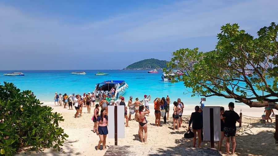 From Khao Lak & Phuket: Trip to Similan Islands by Speedboat - A long day that starts early (and why it works)