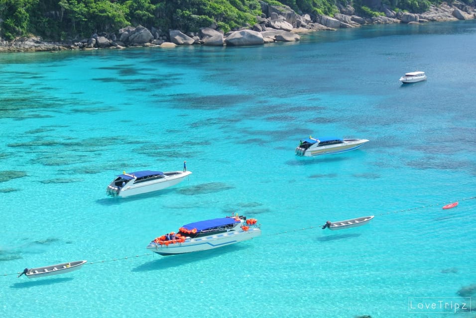 From Khao Lak & Phuket: Trip to Similan Islands by Speedboat - Snorkeling at Ko Bangu (Island 9): clear-water reef time