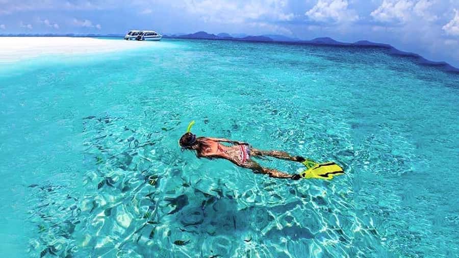 From Khao Lak & Phuket: Trip to Similan Islands by Speedboat - The second snorkeling stop: Ko Payu (Island 7) and Nemo moments