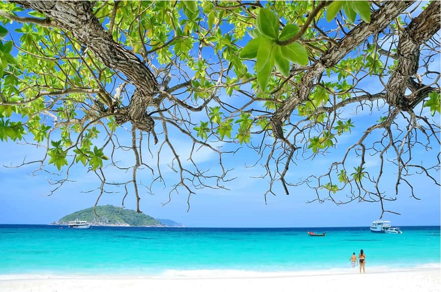 From Khao Lak: Similan Islands Day Trip with Snorkeling - Getting fed twice: breakfast, island lunch, and pier snacks