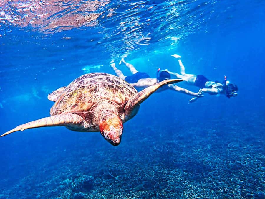 From Khao Lak: Surin Islands Snorkeling Tour w/ Meals - Khao Lak to the Surin Islands: what the timing actually feels like