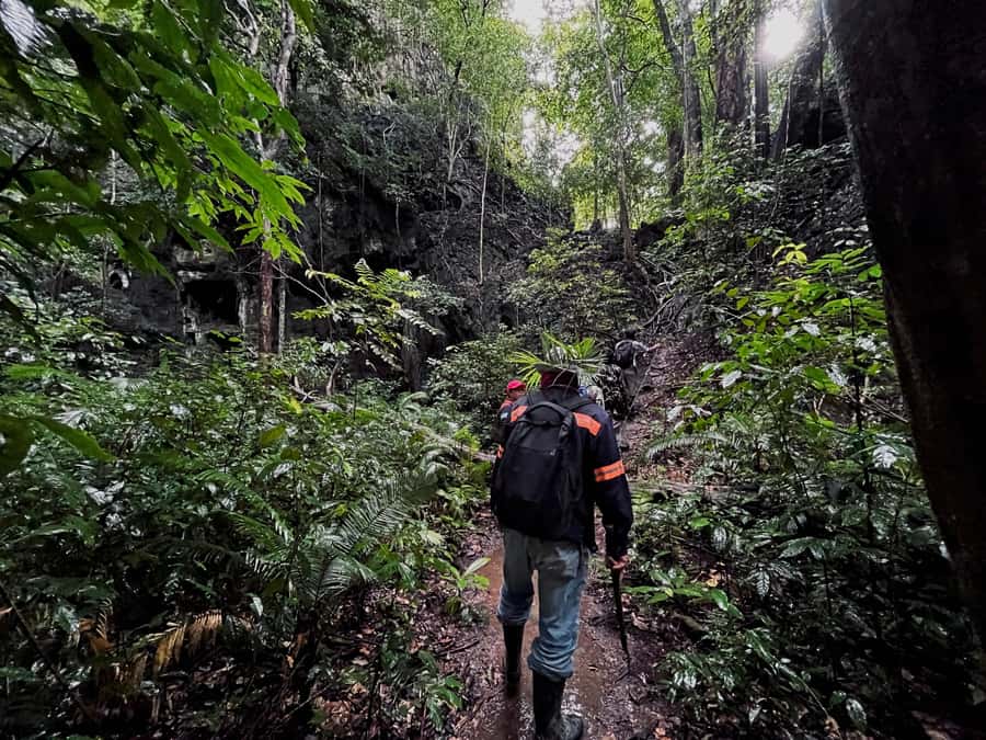From Khao Sok: Half-Day Rainforest Trek with Local Guides - Key highlights worth your time