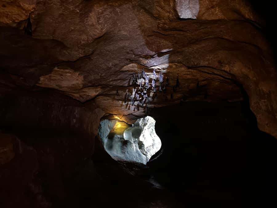 From Khao Sok: Half-Day Rainforest Trek with Local Guides - Tor Tao village life stops: coal-making, plantations, and learning to live sustainably