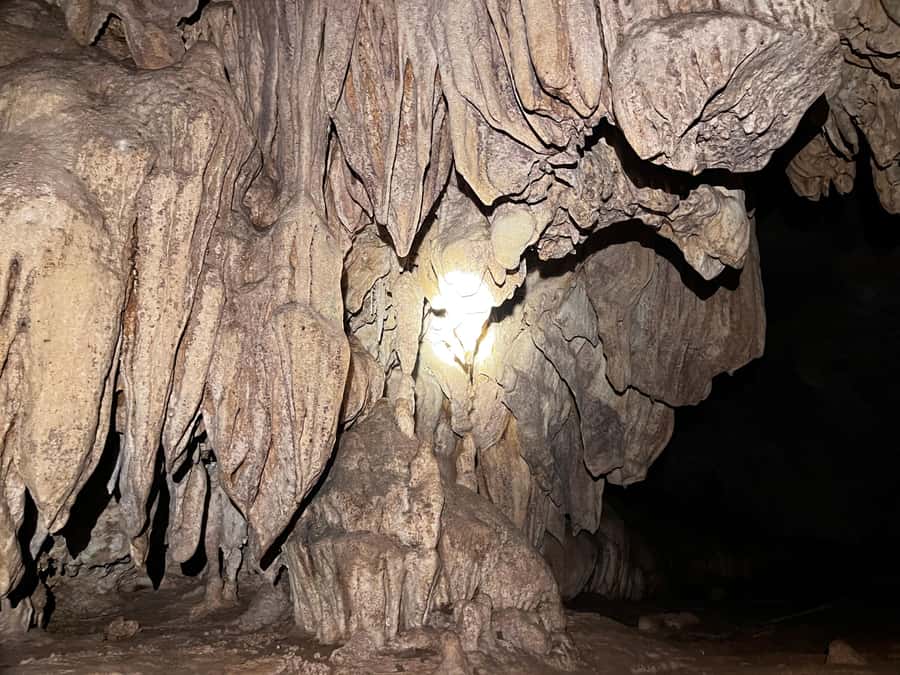 From Khao Sok: Half-Day Rainforest Trek with Local Guides - Caves and trained monkeys: the parts that feel rare (and why they aren’t guaranteed)