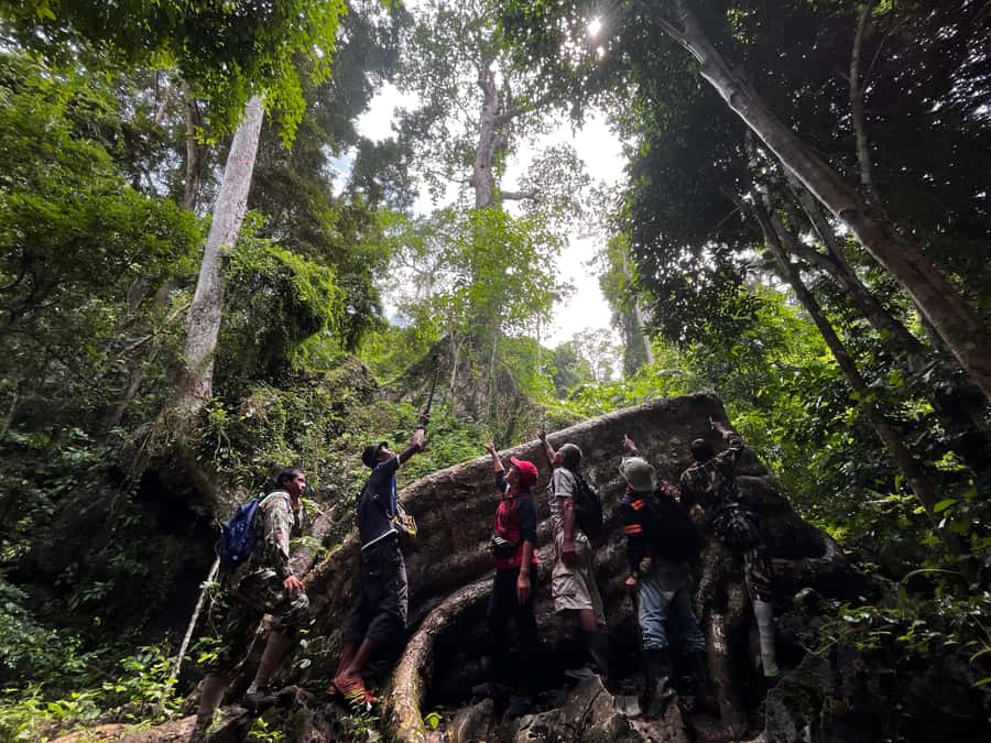 From Khao Sok: Half-Day Rainforest Trek with Local Guides - The 4-hour schedule: 2–3 hours of real trekking