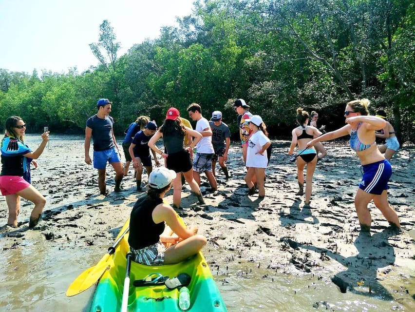 From Ko Lanta: Mangrove Eco-Excursion by Longtail Boat - Price and value: $28 buys a lot of included time