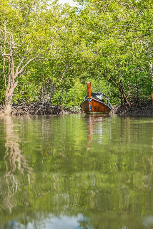 From Ko Lanta: Mangrove Eco-Excursion by Longtail Boat - Safety and who should skip the mangrove boat day