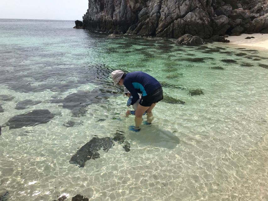 From Ko Yao Yai: Koh Khai Islands Private Boat Tour w/ Lunch - Koh Khai Nui snorkeling: clear water, coral, and sea urchins