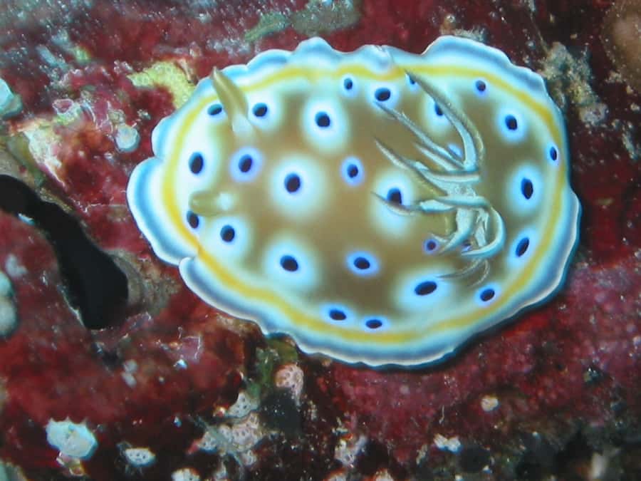 From Koh Kood: Certified Dive Trip - What to bring (and what to do before you leave your hotel)