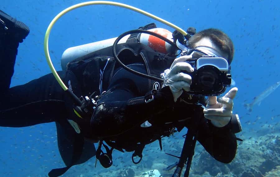 From Koh Kood: Certified Dive Trip - Who should book this scuba trip (and who should skip it)