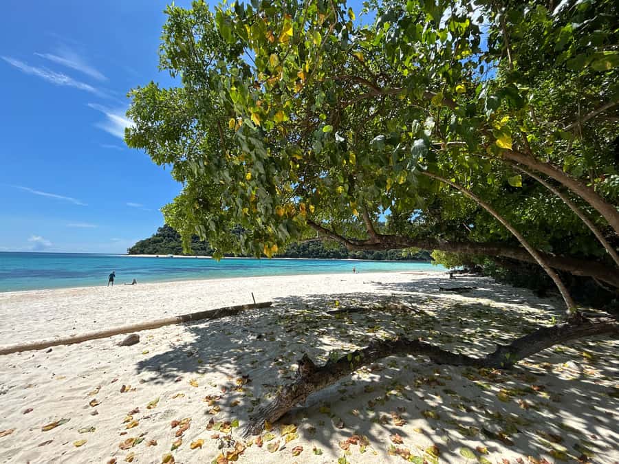 From Koh Lanta: Koh Rok and Koh Ha Day Tour-Queen of Andaman - Should you book OPAL TRAVEL’s Koh Rok and Koh Ha day tour?