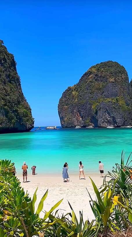 From Koh Phi Phi island and 7 Islands Long Tail Boat Trip - Shark Point Snorkeling: The Best Underwater Shot of the Day