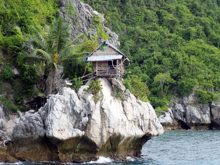 From Koh Samui: Half-Day Private Yacht Charter - Ko Mat Sum (Pig Island): the fun stop—and the fee you should expect