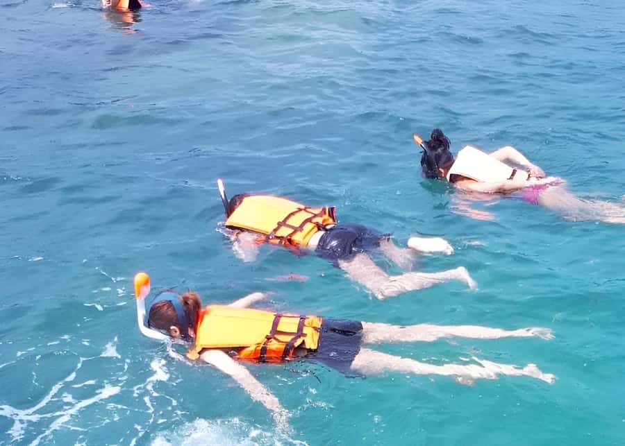 From Koh Samui: Pink Dolphin Boat Tour to Khanom with Lunch - Price and value for a 1-day dolphin + snorkeling combo