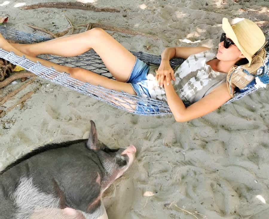 From Koh Samui: Pink Dolphin Boat Tour to Khanom with Lunch - The return to Samui: timing you can plan around