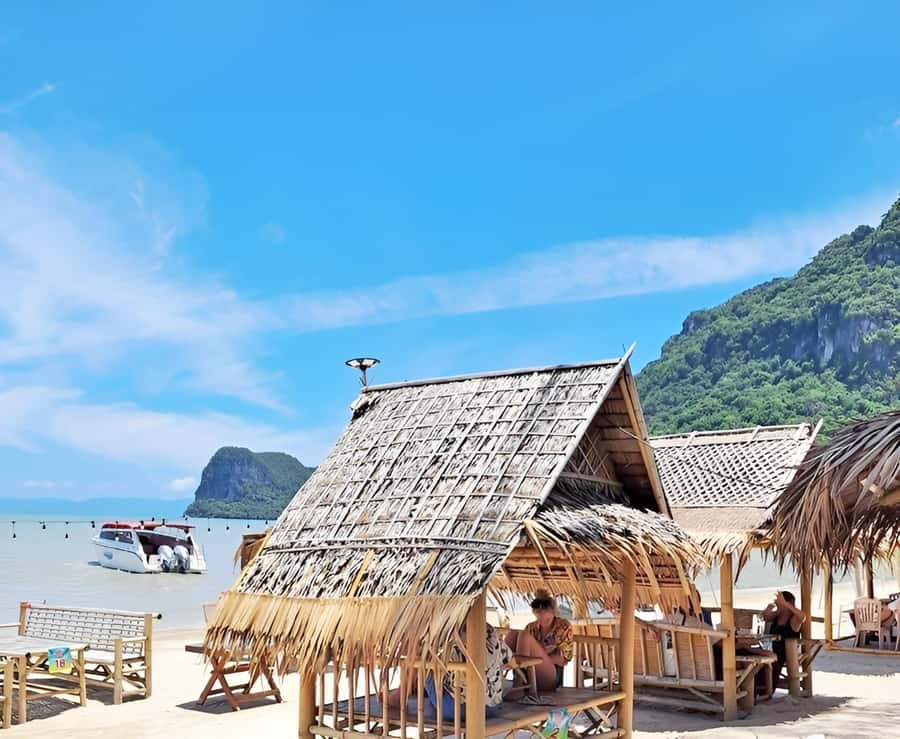 From Koh Samui: Pink Dolphin Boat Tour to Khanom with Lunch - Who this tour suits best (and who should skip it)