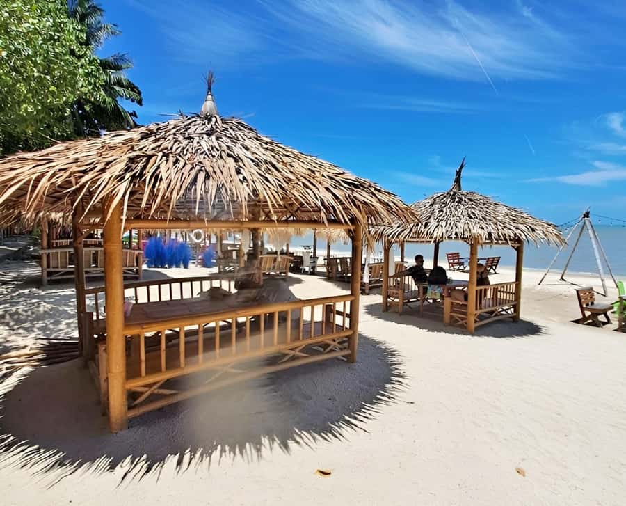 From Koh Samui: Pink Dolphin Boat Tour to Khanom with Lunch - Getting from your hotel to Thong Krut: pickup timing that matters