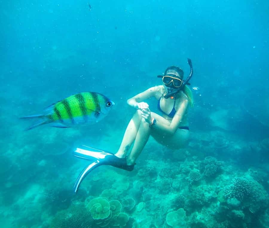 From Koh Tao: Sightseeing Tour with Snorkel by Private Car - Private Car, Real Stops, and an 8-Hour Pace That Works