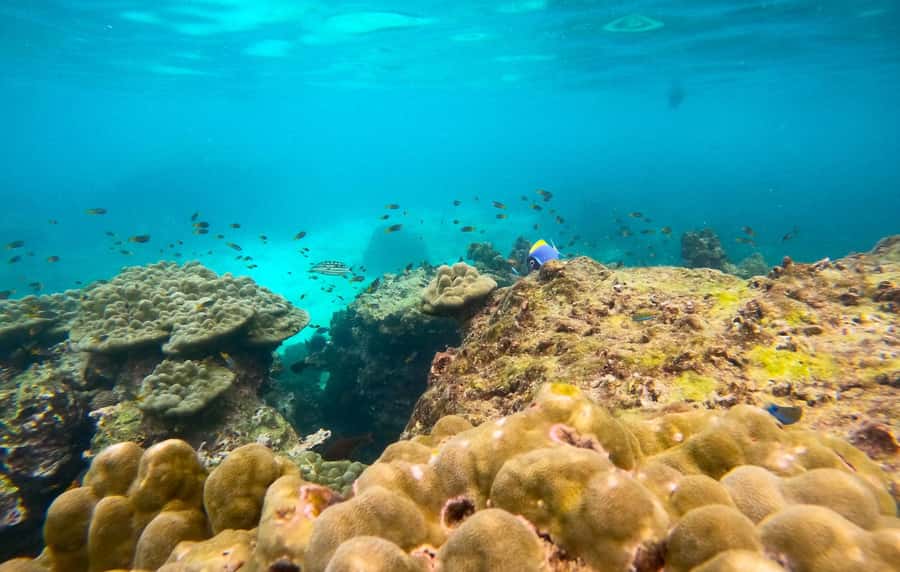 From Koh Tao: Sightseeing Tour with Snorkel by Private Car - Aow Leuk and Luek Bay: Crystal Water, Colorful Fish, and Calm Moments