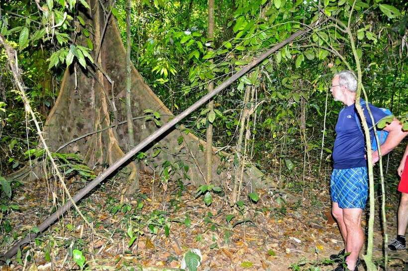 From Krabi: 1-Day Khao Sok & 2-Day Cheow Lan Lake Safari - Krabi to Khao Sok: the ride that sets the mood