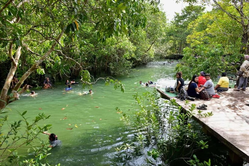 From Krabi: 1-Day Khao Sok & 2-Day Cheow Lan Lake Safari - Jungle trekking in Khao Sok: what makes it special