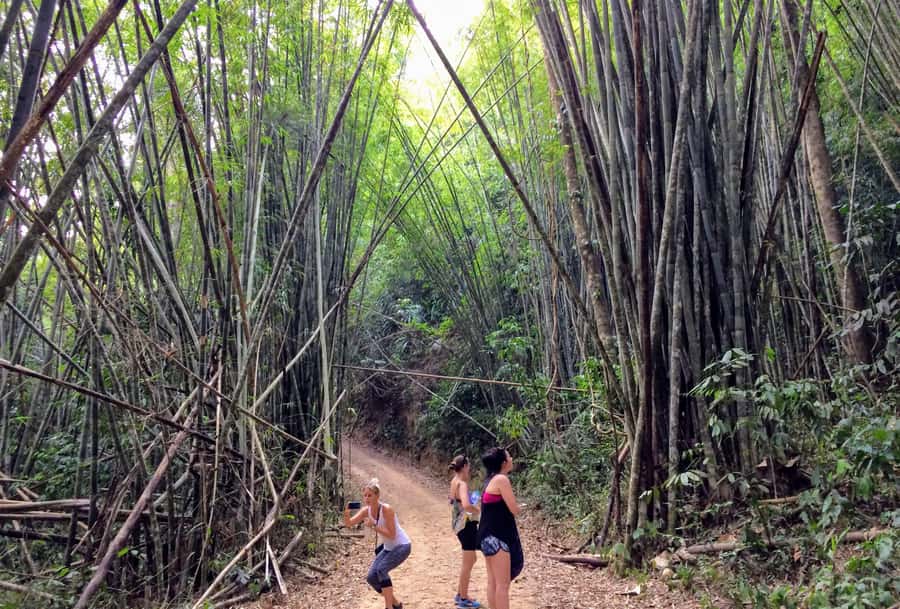 From Krabi: 2-Day Khao Sok Jungle Safari with Overnight Stay - The 3-hour rainforest trek: where the tour earns its name