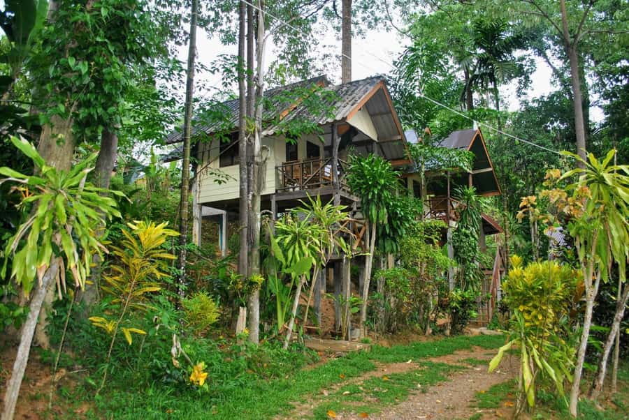 From Krabi: 2-Day Khao Sok Jungle Safari with Overnight Stay - Morning rhythm: breakfast, then the Rok River canoe safari