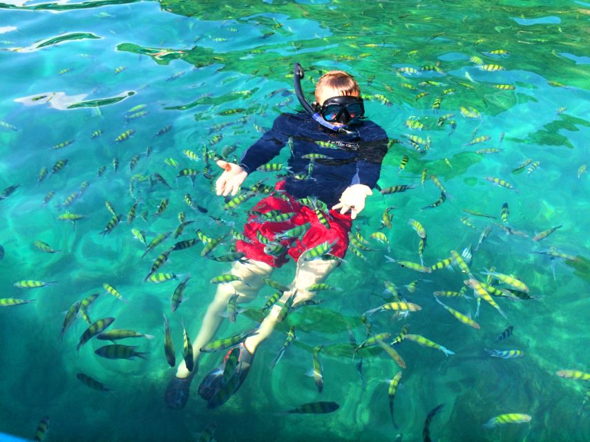 From Krabi: 4 Islands Snorkeling Tour by Speed Boat - Who this tour is best for (and who should skip it)