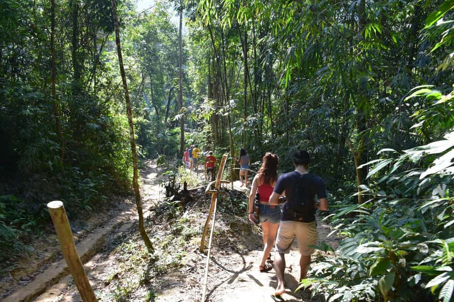 From Krabi: Cheow Lan Lake Cruise and Khao Sok Jungle Hike - Longtail boat cruising on Cheow Lan: islands, cliffs, and wildlife glimpses