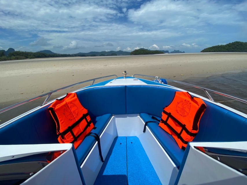 From Krabi: Phi Phi Island Full-Day Private Speed Boat Tour - Stop-By-Stop: From Bamboo Island to Maya Bay Cruise
