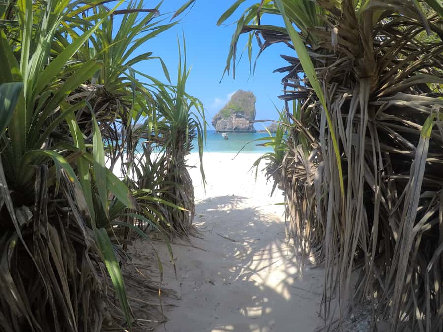 From Krabi: Phi Phi Islands Small Group Tour - Pileh Lagoon and Viking Cave: Swim Time Plus Underwater Reality