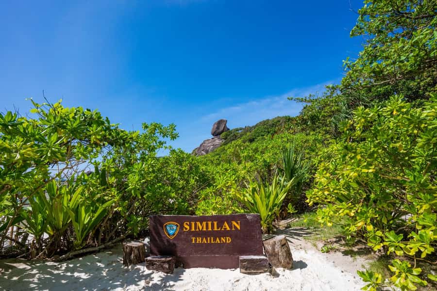 From Krabi: Similan Islands Day Trip by Speedboat - Getting there from Krabi: early pickup, check-in, and timing reality