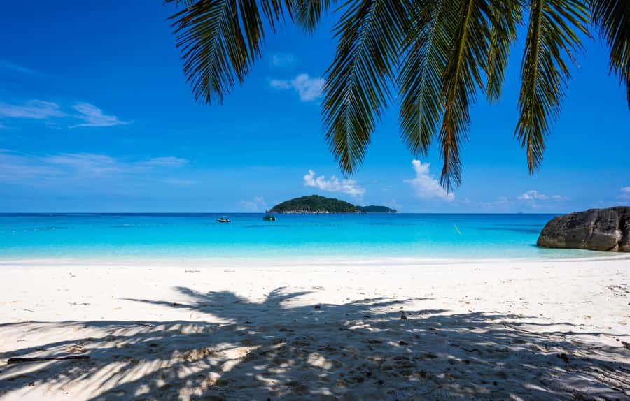 From Krabi: Similan Islands Day Trip by Speedboat - Guides, gear, and safety extras that actually help