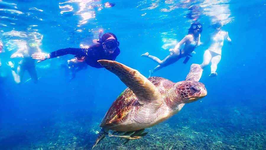 From Krabi: Surin Islands Snorkeling Tour w/ Meals - Early-Start Reality: Krabi Pickups and the Long Ride to Namkhem Marina