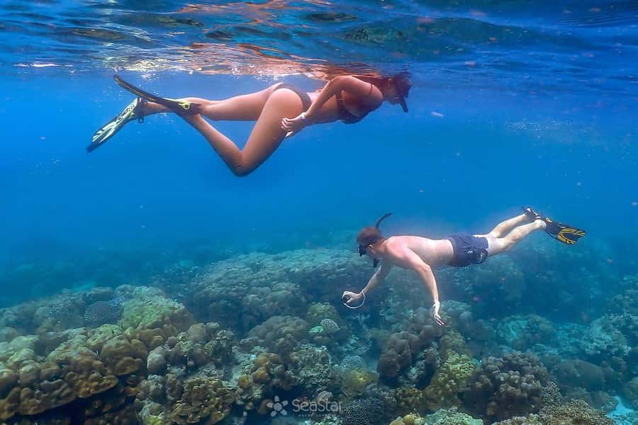 From Krabi: Surin Islands Snorkeling Tour w/ Meals - Meals and the National Park Lunch: What’s Included, Plus Timing Reality