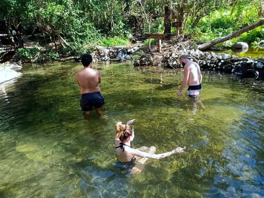 From Pai: Full-Day Private Sightseeing Tour - Long Neck Karen Village: cultural photos, entrance fee reality, and how to judge it