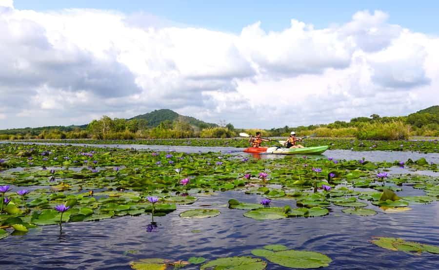 From Pattaya: Rayong Adventure Hike and Kayak Day Trip - What to pack: the honest list for a wet, sunny, active day