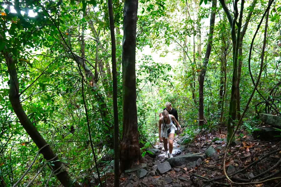 From Pattaya: Rayong Adventure Hike and Kayak Day Trip - A full-day Rayong mix: hiking, villages, mangroves, and kayaking