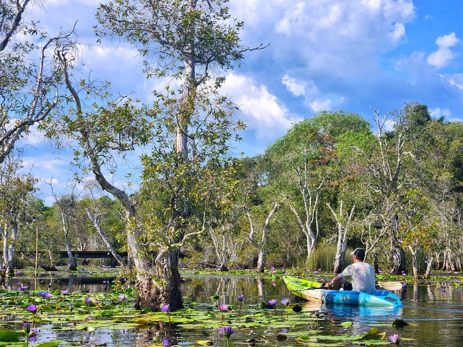 From Pattaya: Rayong Adventure Hike and Kayak Day Trip - Khao Chamao-Khao Wong National Park: the 5 km hike and waterfall country