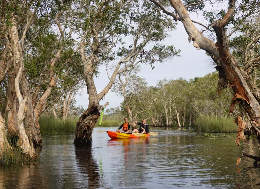 From Pattaya: Rayong Adventure Hike and Kayak Day Trip - Rayong Botanical Garden kayaking: the Samet forest feel on calm water