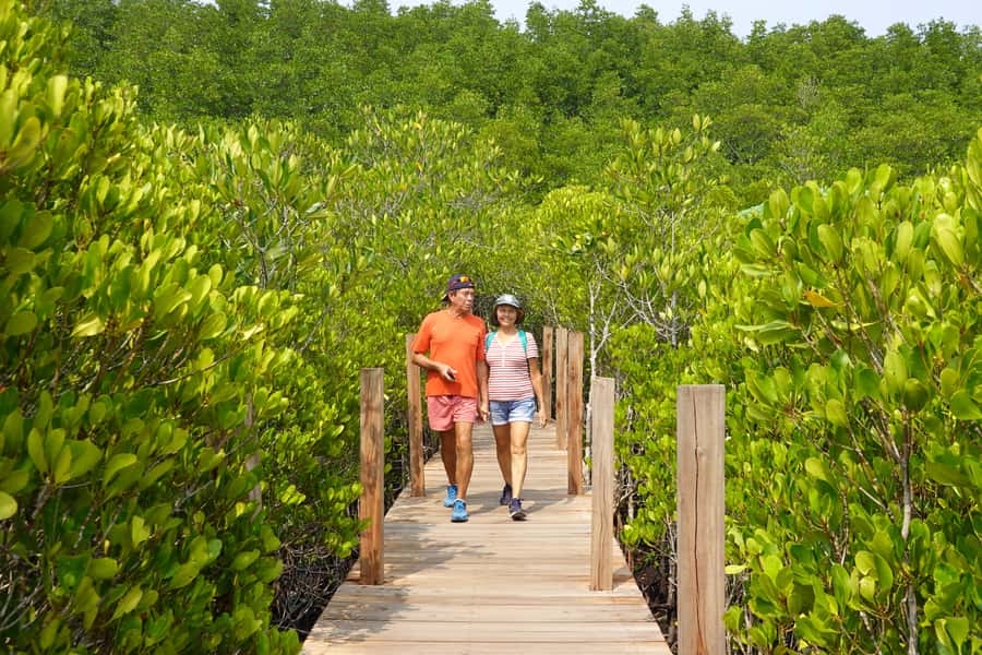 From Pattaya: Rayong Adventure Hike and Kayak Day Trip - Your guide really matters: pacing, safety, and learning real Thailand