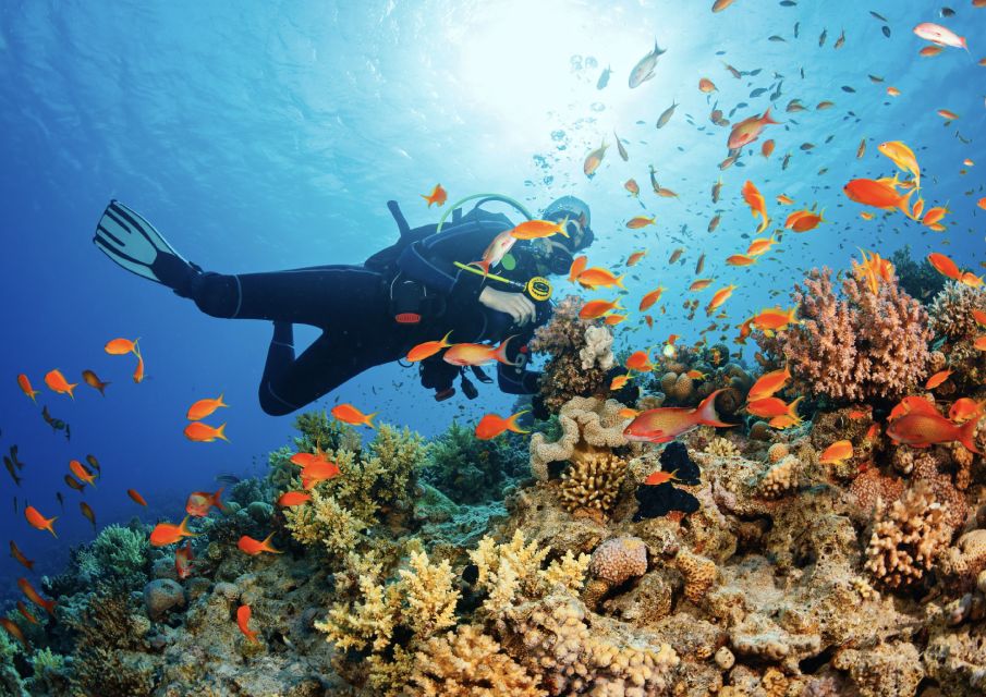 From Pattaya: Snorkeling or Beginner Scuba Diving Tour - Snorkeling Day Feel: Calm, Clear, and Easy to Manage