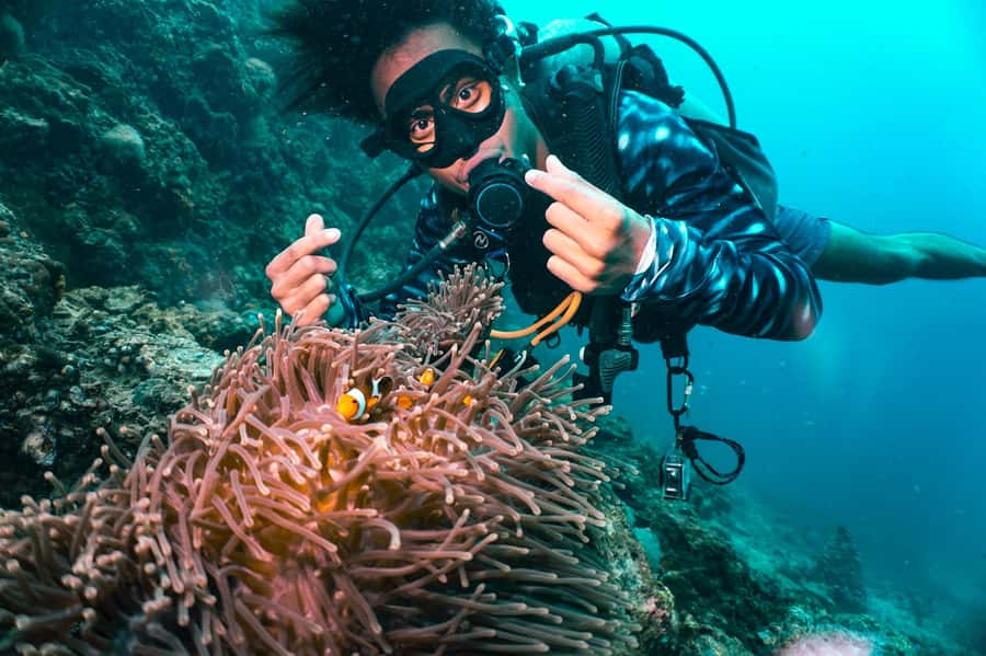 From Phi Phi: Beginner Scuba Diving Day Trip with 2 Dives - Why Phi Phi’s beginner scuba fits so well into a 5-hour day