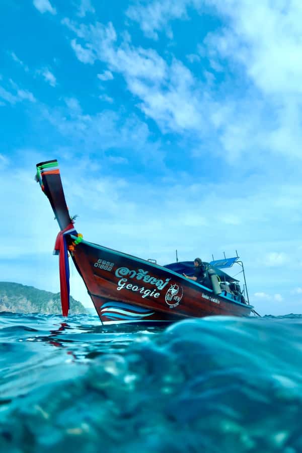 From Phi Phi: Beginner Scuba Diving Day Trip with 2 Dives - Wildlife expectations vs the photo reality