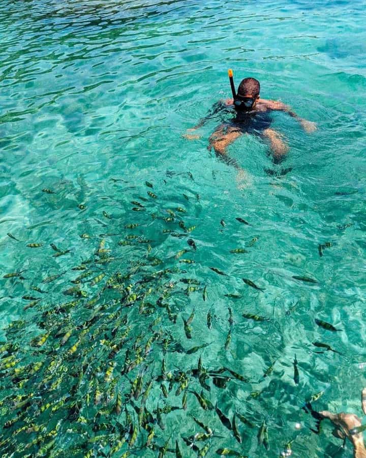 From Phi Phi Don:Sunset and Plankton Snorkeling by Speedboat - Price and Value: What $74 Really Covers